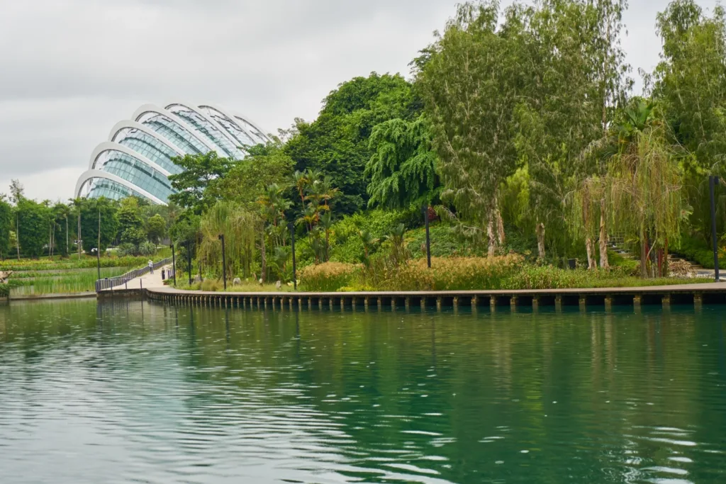 a large body of water surrounded by trees