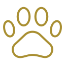 a dog's paw print on a black background