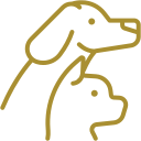 a dog's head is shown with a line drawing of a dog's