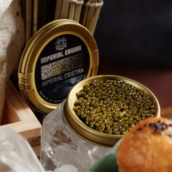 san-diego-gallary-5-791551